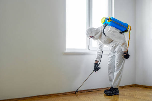 Best Residential Pest Control  in Central Park, WA